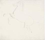 Study of a Horse from the Parthenon Frieze